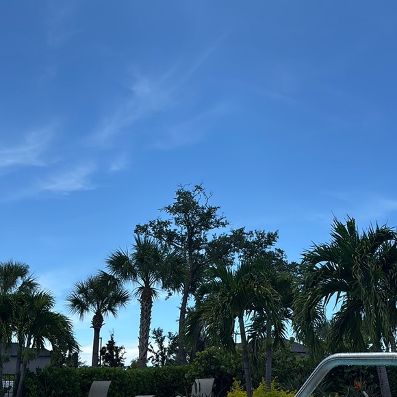 milosblue